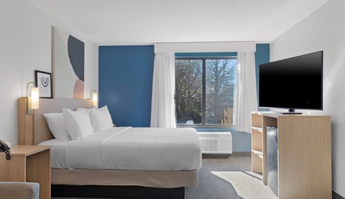 Room, 1 King Bed