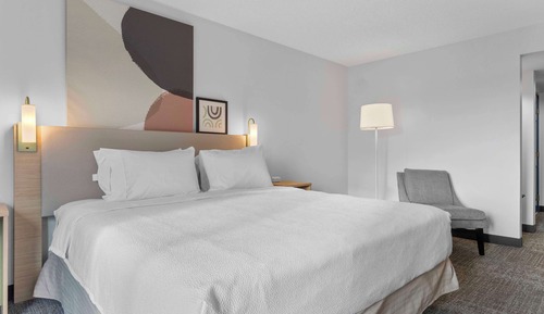 Room, 1 King Bed, Accessible (Mobility & Hearing, Roll-in Shower)