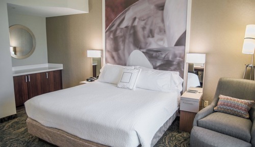 Room, 1 King Bed