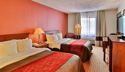 Standard Double Room, 2 Double Beds, Non Smoking