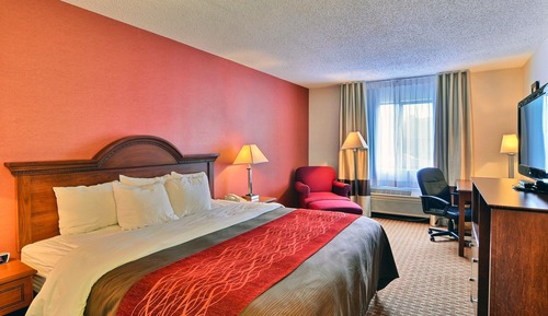 Standard Room, 1 King Bed, Non Smoking