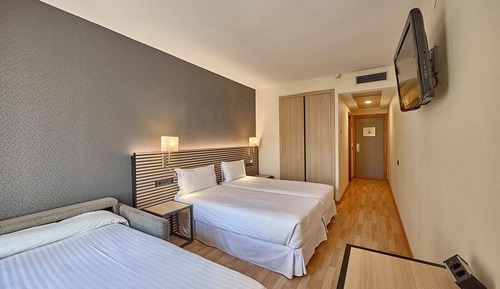 Basic Triple Room
