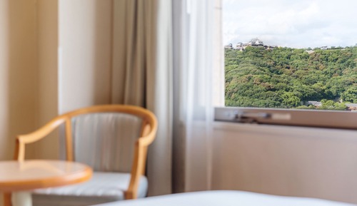 Standard Twin, Castle View, Smoking (22.62sqm)