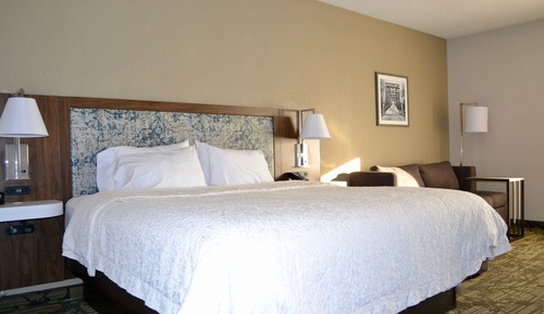 Room, 1 King Bed, Non Smoking