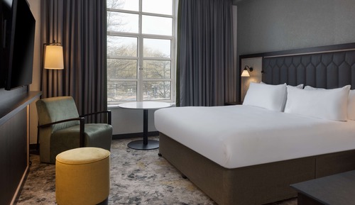 Room, 1 King Bed