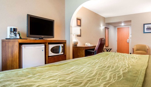 Business Suite, 1 King Bed with Sofa bed, Non Smoking