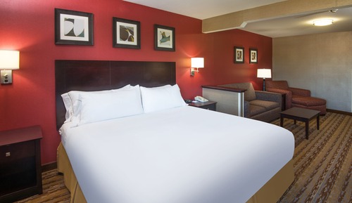 Standard Room, 1 King Bed, Accessible (Communications)