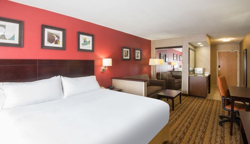 Standard Room, 1 King Bed with Sofa bed, Accessible Bathtub (Comm, Access Tub)