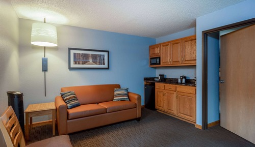 Suite, 1 Queen Bed, Non Smoking (One-Bedroom Suite)