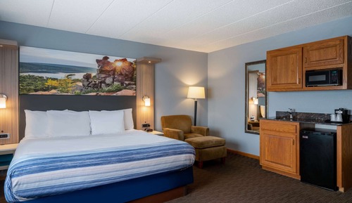 Room, 1 King Bed, Non Smoking