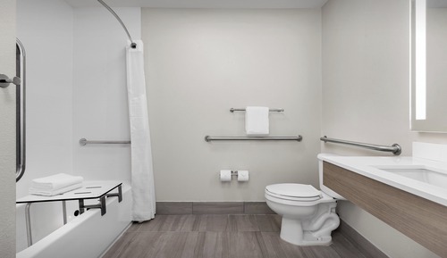 Standard Room, 1 King Bed, Accessible (Mobility, Accessible Tub)