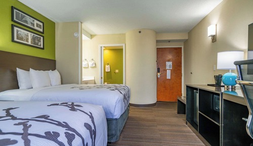 Business Room, 2 Queen Beds, Accessible, Non Smoking