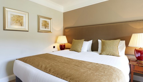 Superior King (1 King bed)