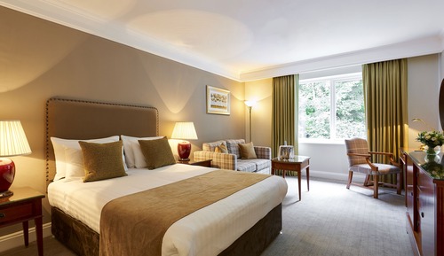 Superior Queen (1 Queen bed)
