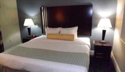 Standard Room, 1 King Bed, Accessible, Refrigerator & Microwave