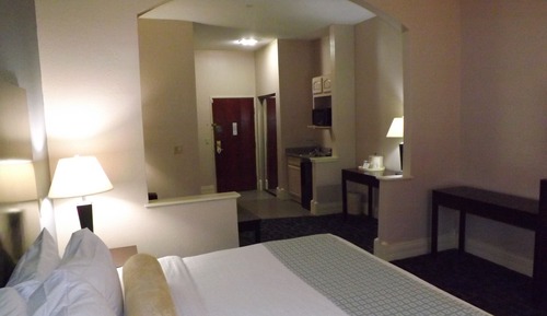 Suite, 1 King Bed, Non Smoking, Refrigerator & Microwave (with Sofabed)