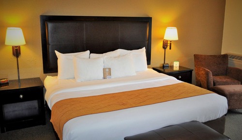 Standard Room, 1 Single Bed