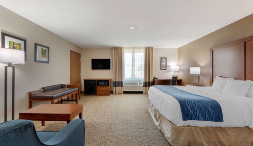 Suite, 1 King Bed with Sofa bed, Non Smoking (Efficiency)