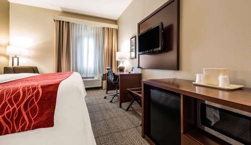 Room, 1 King Bed, Non Smoking