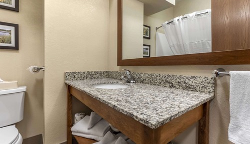Room, 1 King Bed, Accessible, Non Smoking (Roll-In Shower)