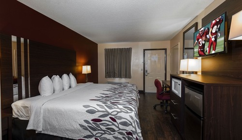 Deluxe Room, 1 King Bed, Smoking, Jetted Tub