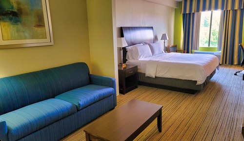 Suite, 1 King Bed, Accessible (Mobility, Accessible Tub)