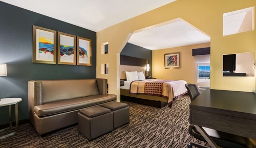 Suite, 1 King Bed, Non Smoking, Refrigerator & Microwave (with Sofabed)