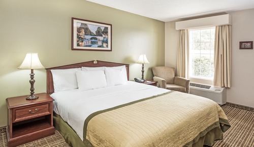 Room, 1 King Bed, Non Smoking