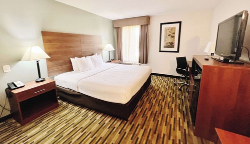 Room, 1 King Bed, Accessible, Non Smoking