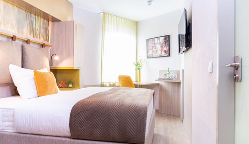 Double Room Single Use, 1 Queen Bed (Plus)