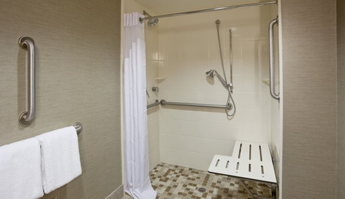 Standard Room, 1 King Bed, Accessible (Communications, Roll-In Shower)