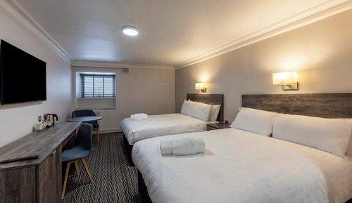 Standard Twin Room