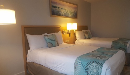 Standard Double Room, 2 Double Beds