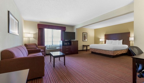 Suite, 1 King Bed, Non Smoking, Microwave (with Sofabed)