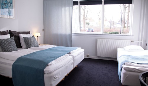 Basic Triple Room