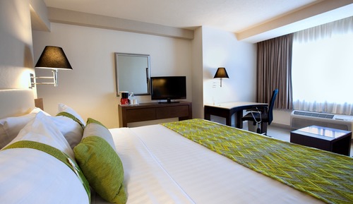 Standard Room, 1 King Bed, City View