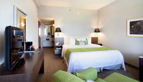 Suite, 1 King Bed