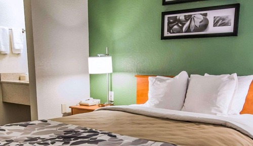 Room, 1 Queen Bed, Accessible, Non Smoking (Roll-In Shower)