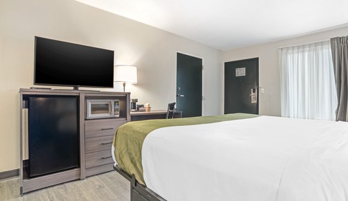 Room, 1 King Bed, Accessible, Non Smoking