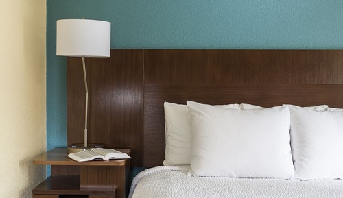 Room, 1 King Bed