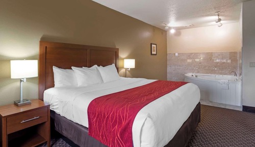 Presidential Suite, 1 King Bed with Sofa bed, Non Smoking