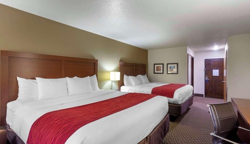 Room, Multiple Beds, Non Smoking (2 Kingbeds)