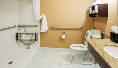 Room, 1 King Bed, Accessible