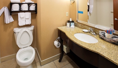 Room, 1 King Bed, Non Smoking, Refrigerator & Microwave