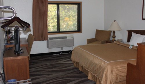 Room, 1 King Bed, Non Smoking