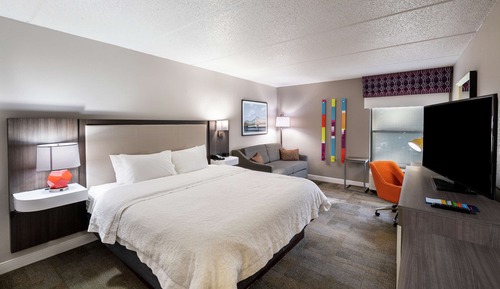 Standard Room, 1 King Bed, Non Smoking