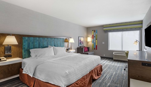 Room, 1 King Bed, Accessible (Roll-In Shower)