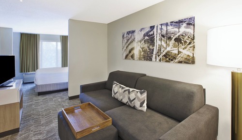 Suite, 1 King Bed with Sofa bed, Non Smoking