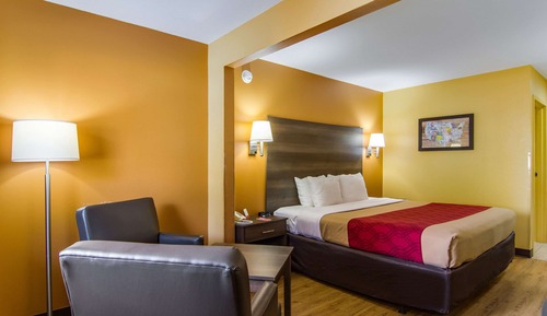 Standard Room, 1 King Bed, Non Smoking