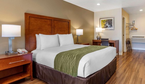 Standard Room, 1 Queen Bed, Non Smoking